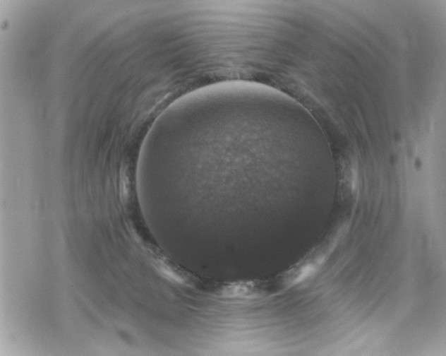 X0000070400080200606161356