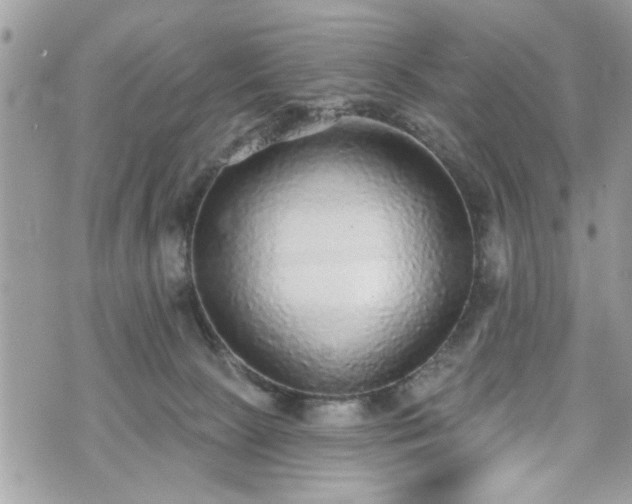 X0000070400081200606161356