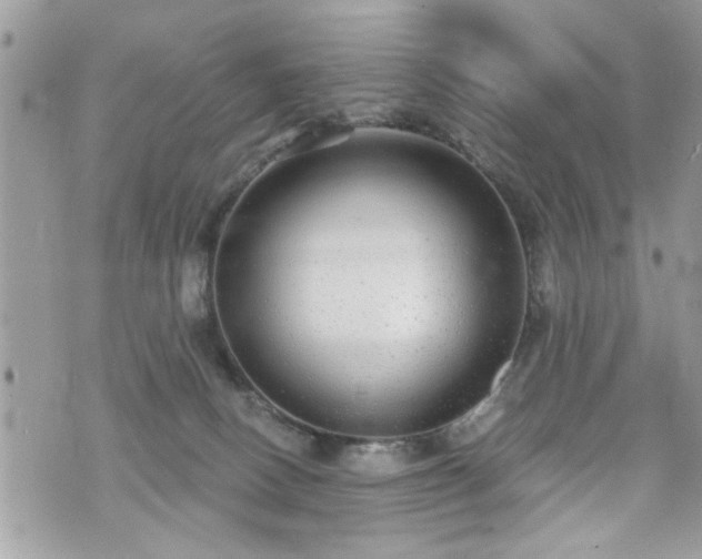 X0000070400082200606161356