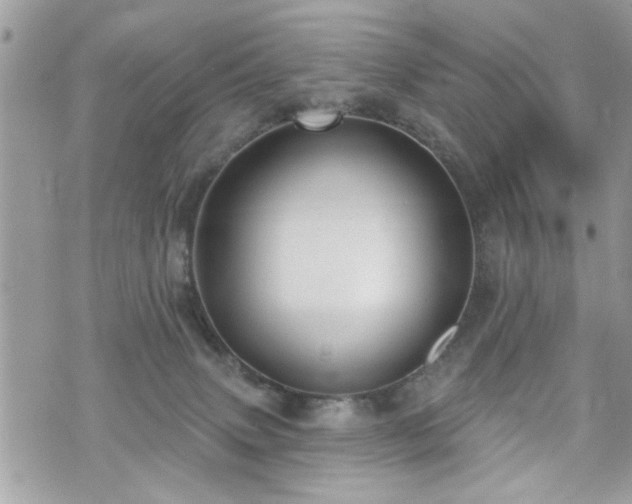 X0000070400083200606161356