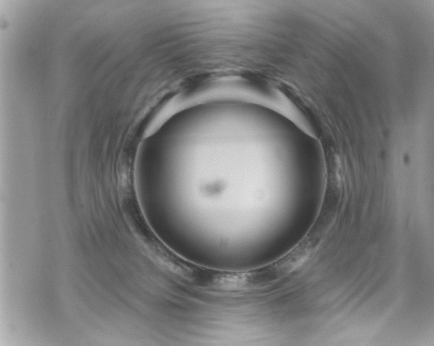 X0000070400084200606161356