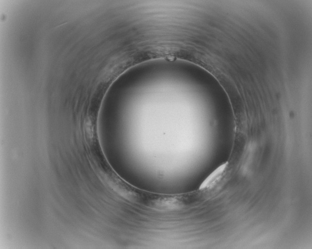 X0000070400086200606161356