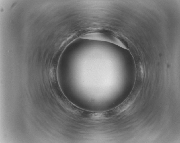 X0000070400088200606161356