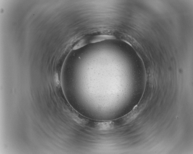 X0000070400089200606161356