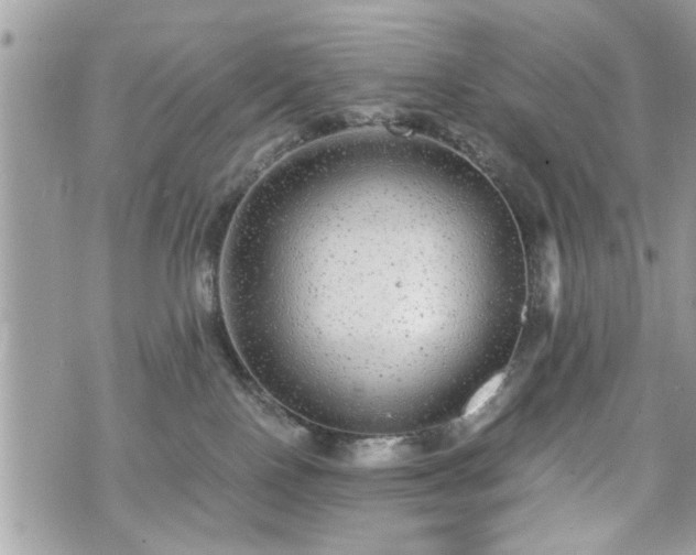 X0000070400090200606161356