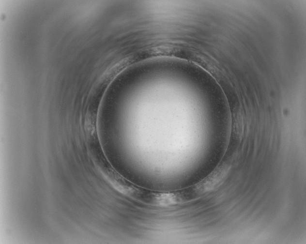 X0000070400091200606161356