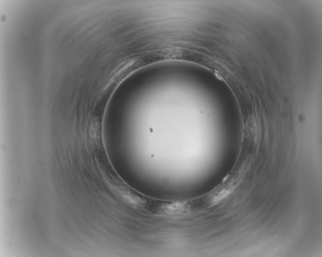 X0000070400092200606161356