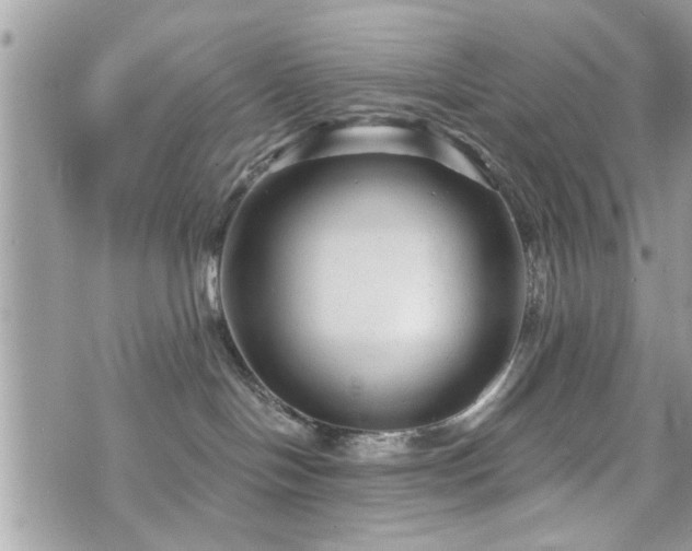 X0000070400094200606161356