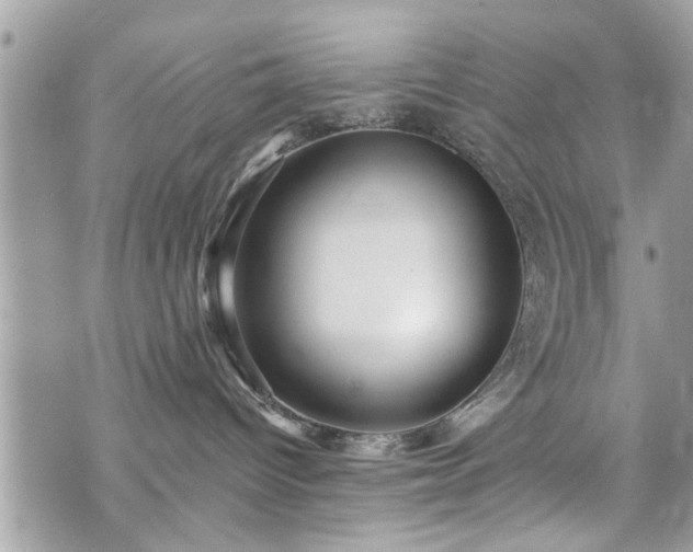 X0000070400096200606161357