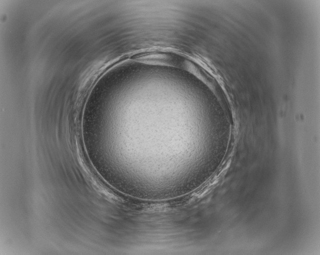 X0000070400097200606161356