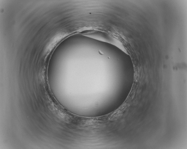 X0000070400098200606161356