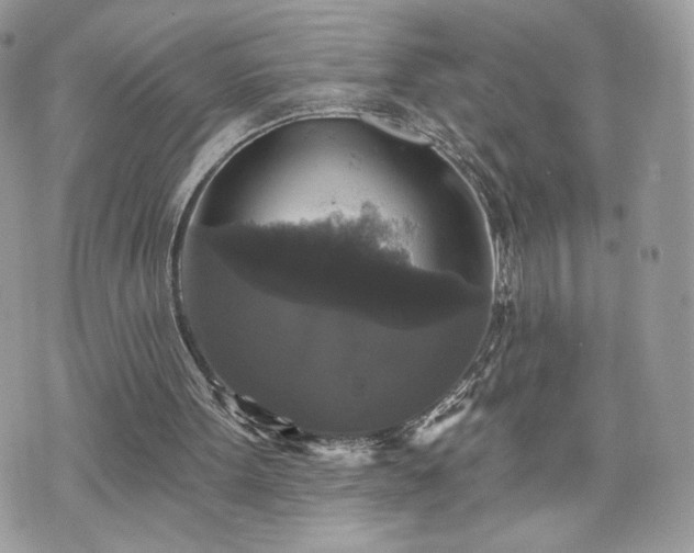 X0000070400099200606161356