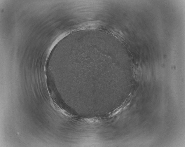 X0000070400100200606161356