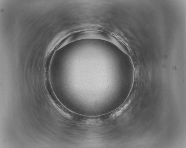 X0000070400101200606161356