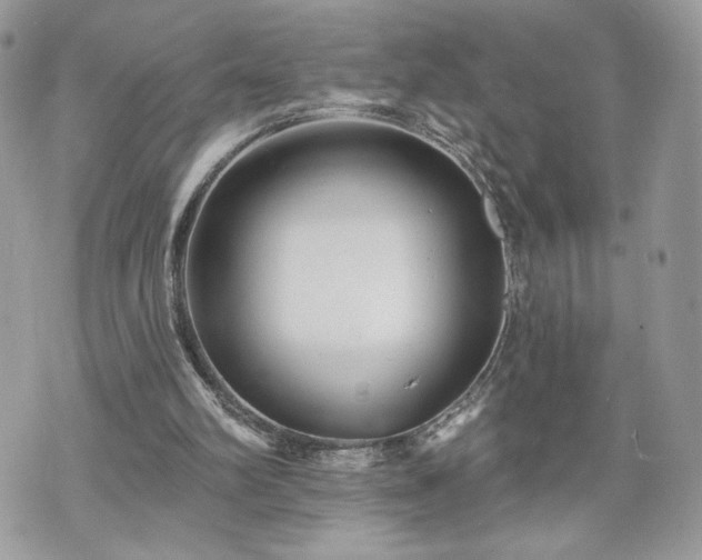 X0000070400102200606161356