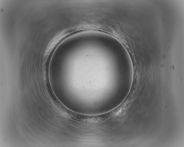 X0000070400103200606161356