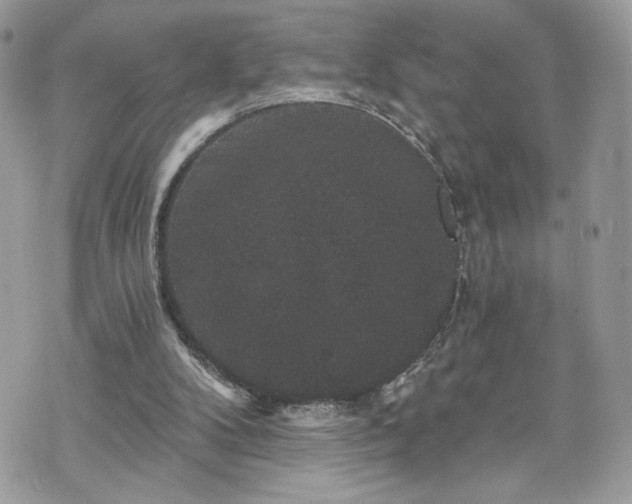 X0000070400104200606161356