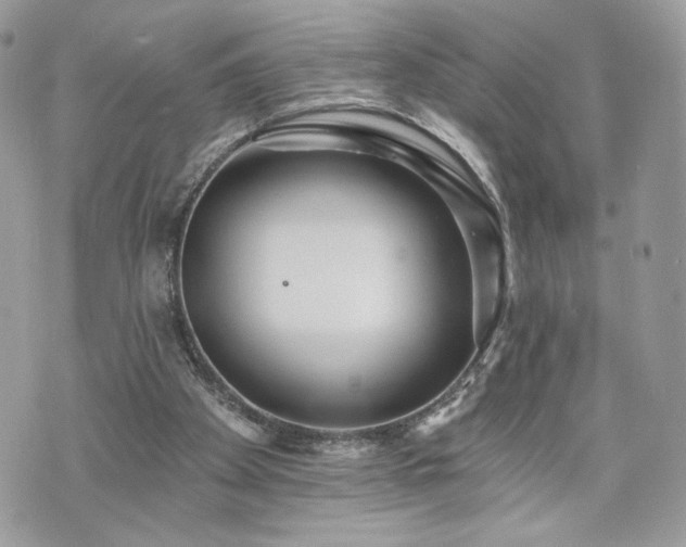 X0000070400105200606161356