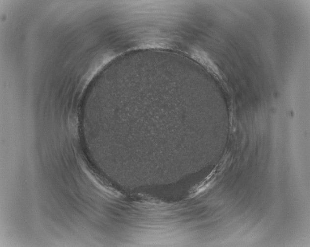 X0000070400108200606161356