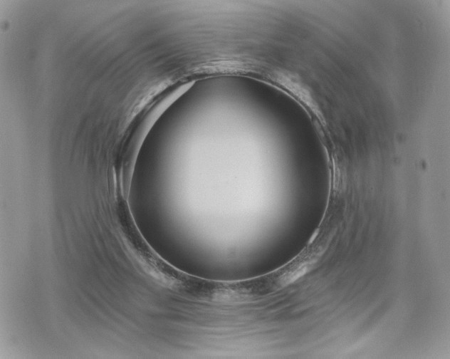 X0000070400109200606161356