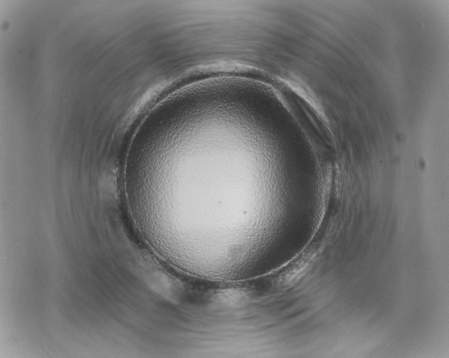 X0000070400111200606161356