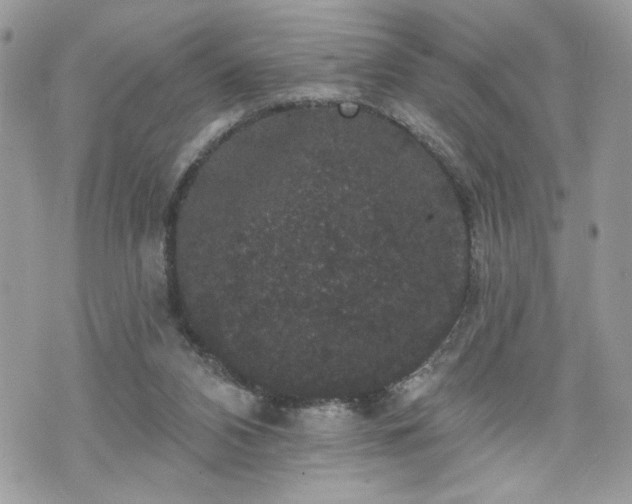 X0000070400112200606161356