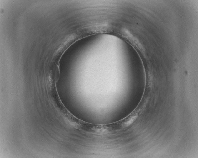 X0000070400113200606161355