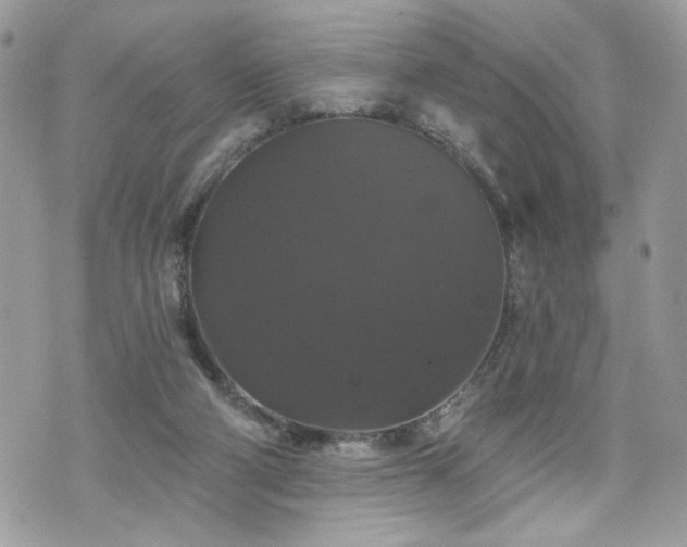 X0000070400114200606161355