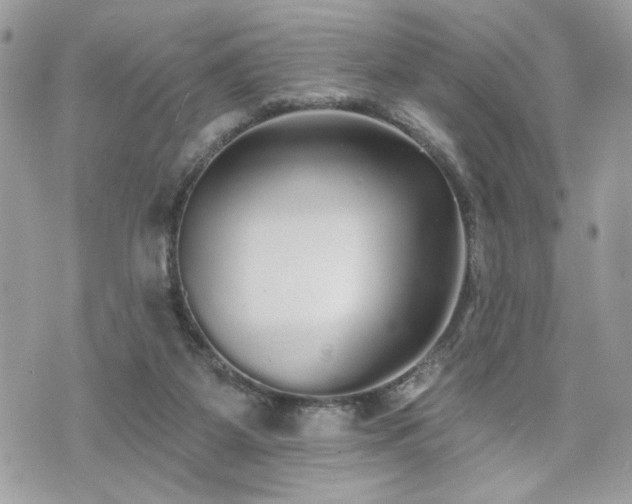 X0000070400115200606161355