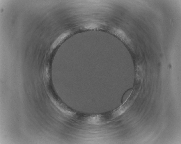 X0000070400116200606161355