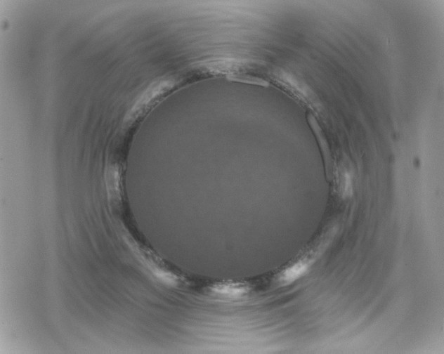 X0000070400117200606161355