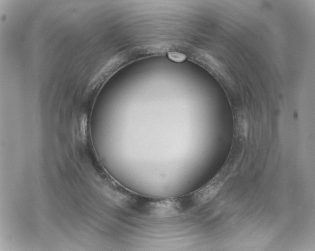 X0000070400118200606161355