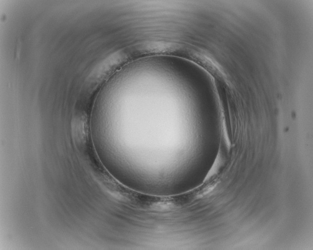 X0000070400119200606161355