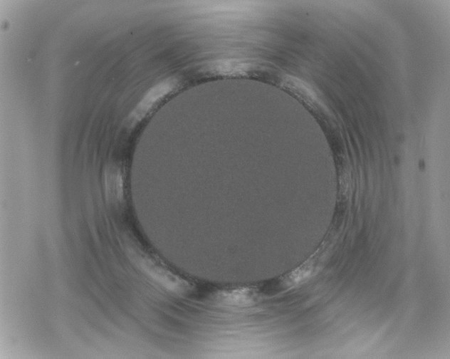 X0000070400120200606161355