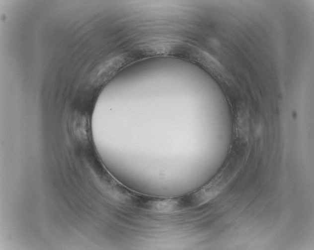 X0000070400122200606161355