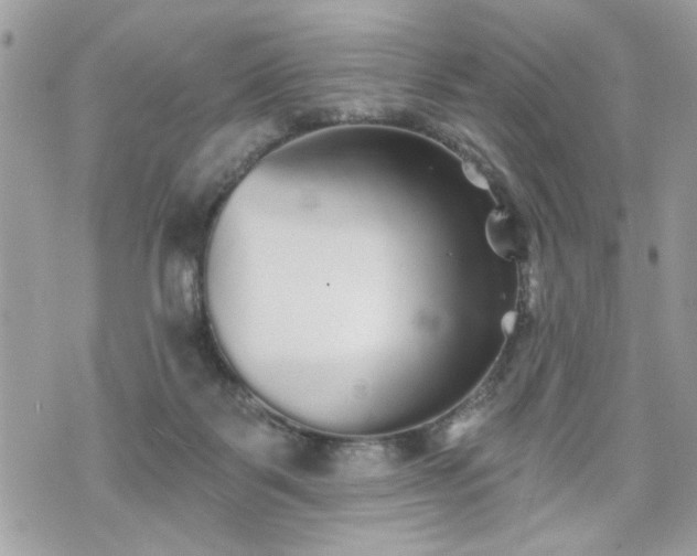 X0000070400123200606161355