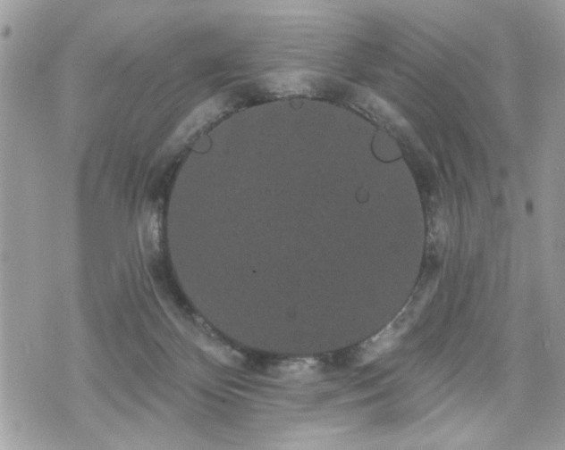 X0000070400124200606161355