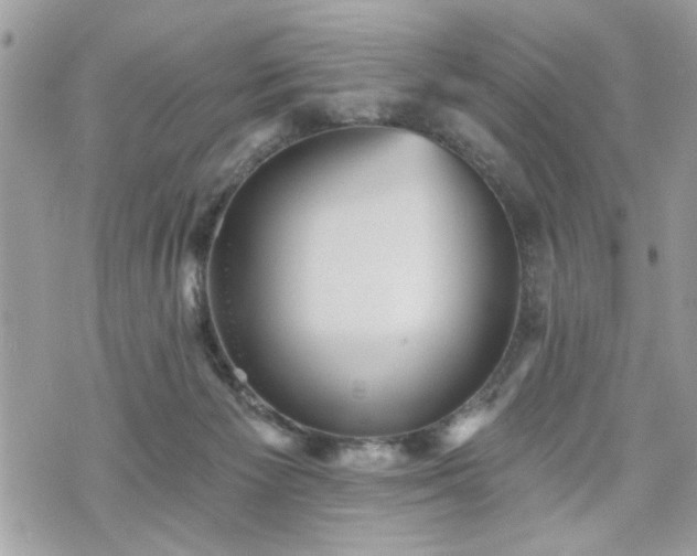 X0000070400125200606161355