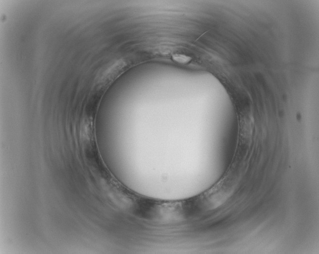 X0000070400126200606161355