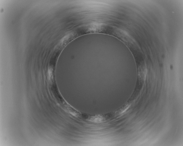 X0000070400127200606161355