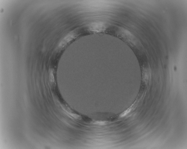 X0000070400128200606161355