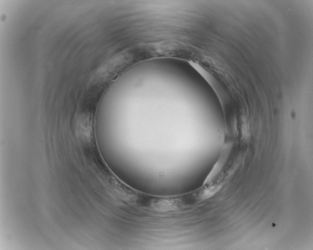 X0000070400129200606161355