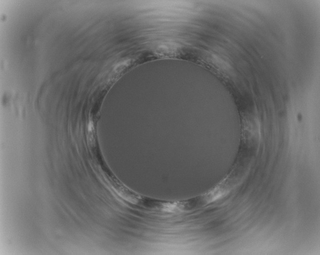 X0000070400130200606161355