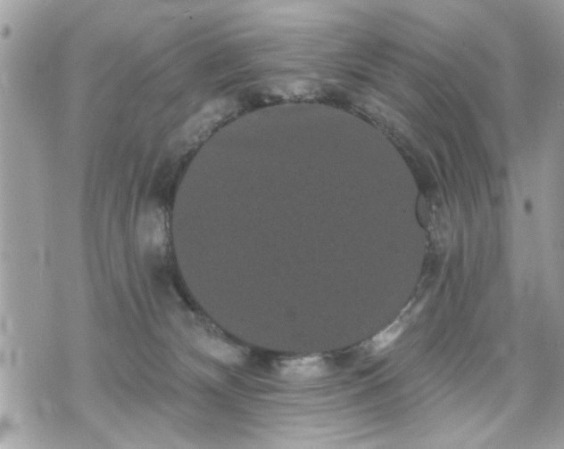 X0000070400132200606161355