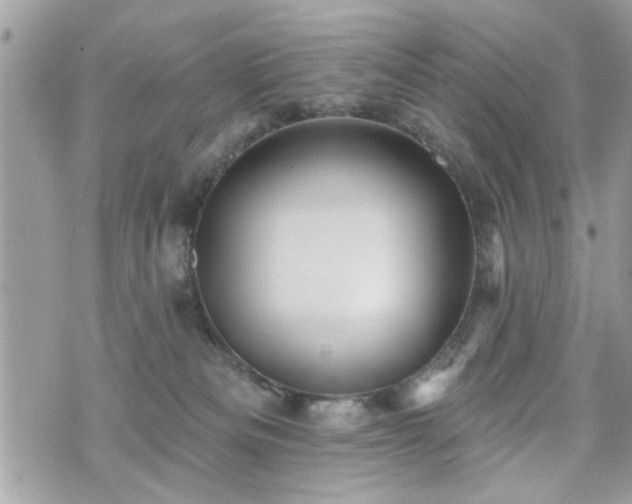 X0000070400133200606161355