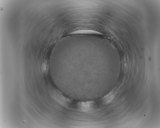 X0000070400134200606161355