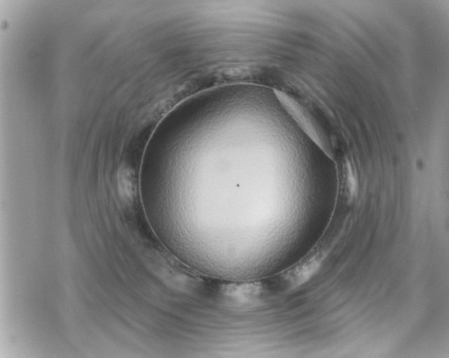 X0000070400135200606161355