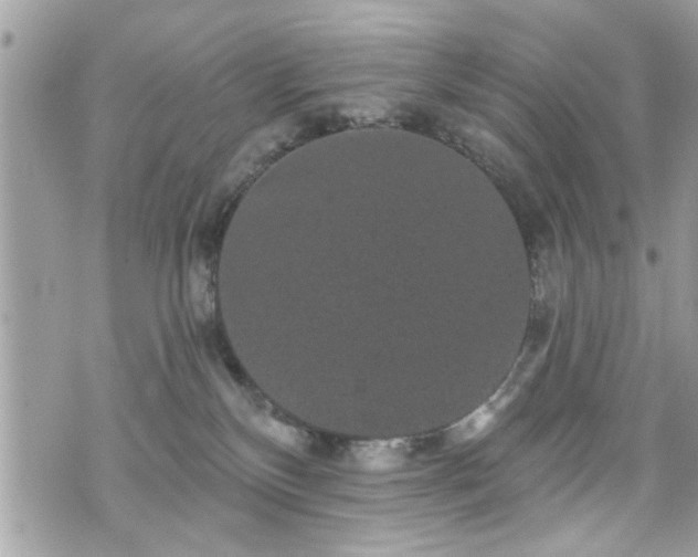 X0000070400136200606161355