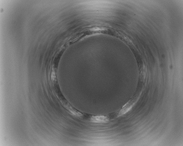 X0000070400137200606161355