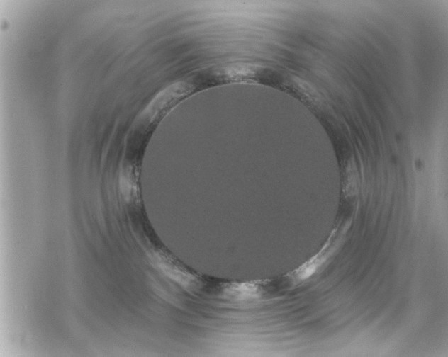 X0000070400140200606161355